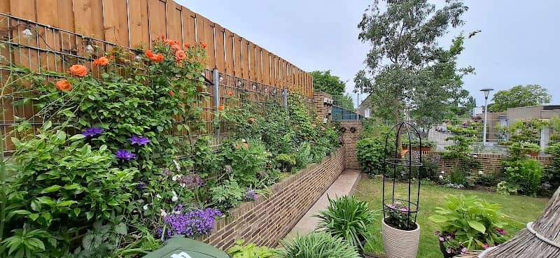 Frances Home & Garden - Image 1