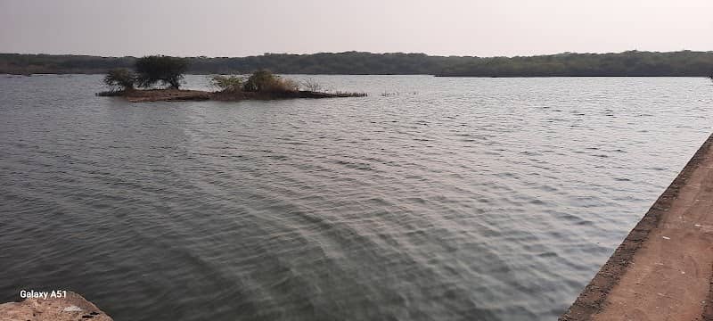 Dharo - Image 1