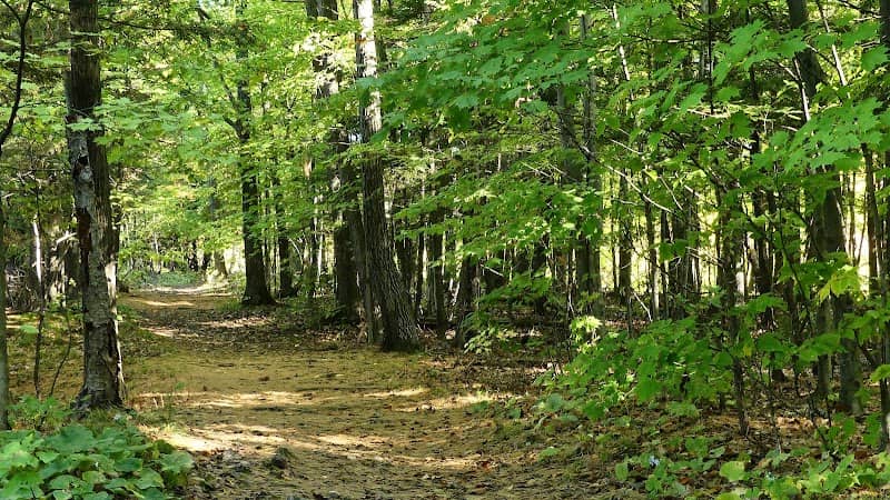 Parc Armand « Daddy » Lacelle - Image 2