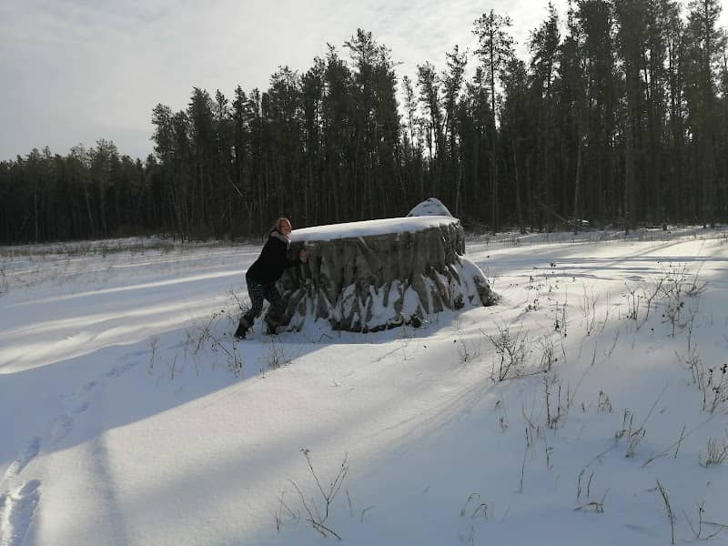 Giant Stump - Image 1