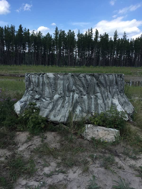 Giant Stump - Image 2