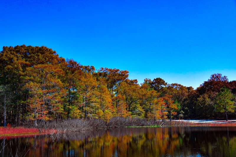 Indian Lake State Forest Campground - Image 2