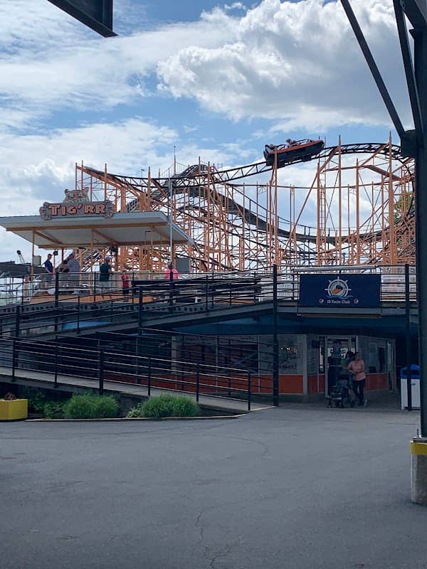 Tig’rr Coaster - Image 2