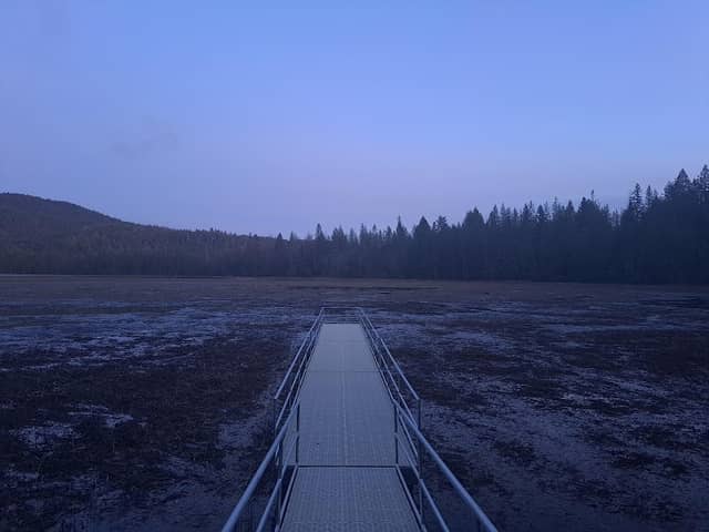 Boggs Lake Preserve | Lake County Land Trust - Image 2