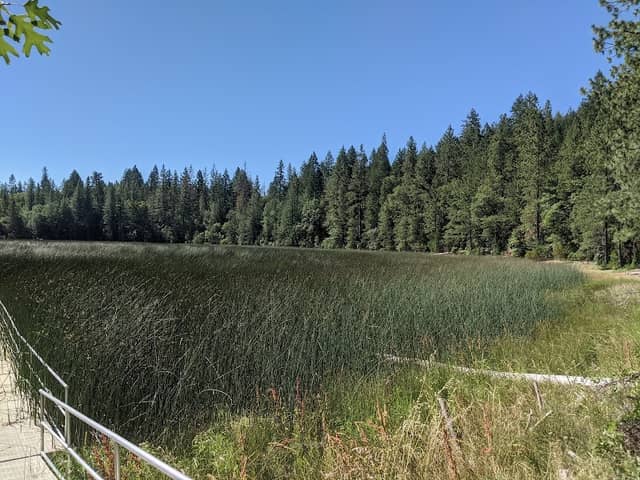 Boggs Lake Preserve | Lake County Land Trust - Image 1