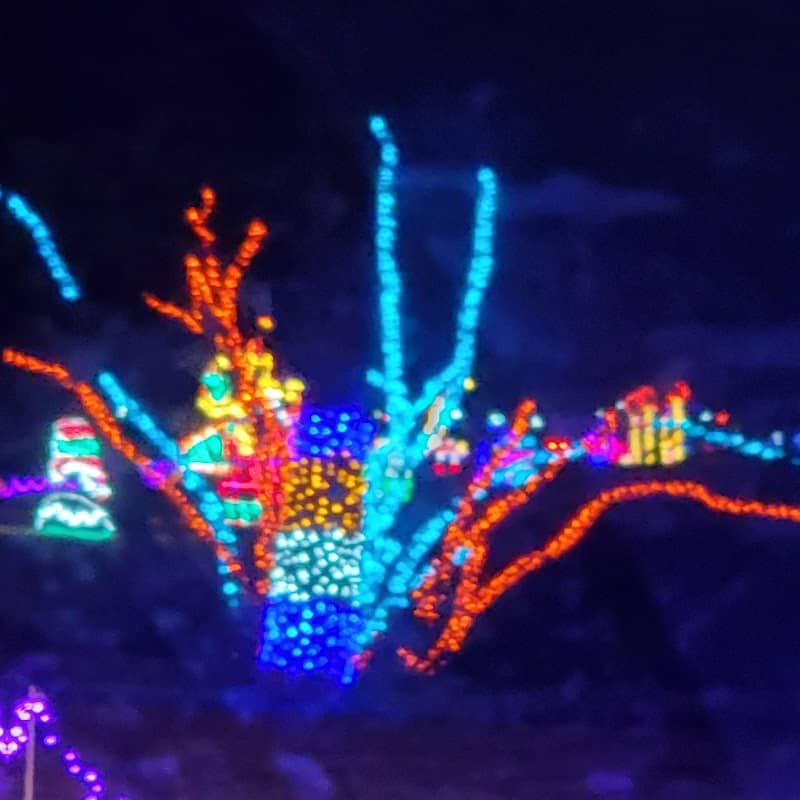 Central Park Southern Lights - Image 3