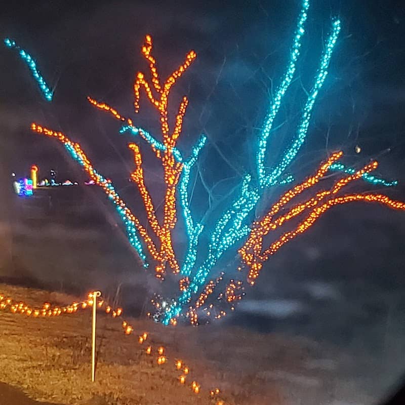Central Park Southern Lights - Image 2