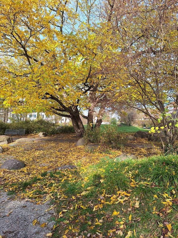 Pappelpark Germering - Image 2