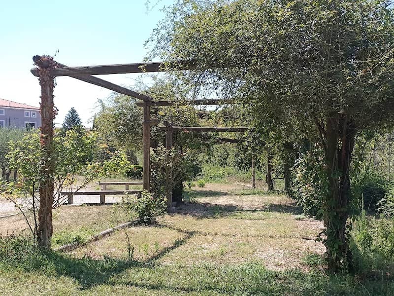 Parco Alberto Violati - Image 1