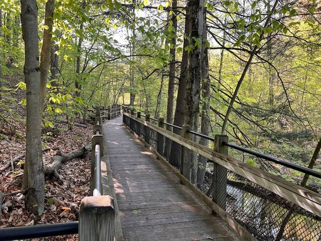 Rycenga Park - Image 2
