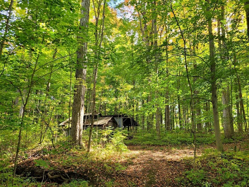 Walker Woods - Image 1