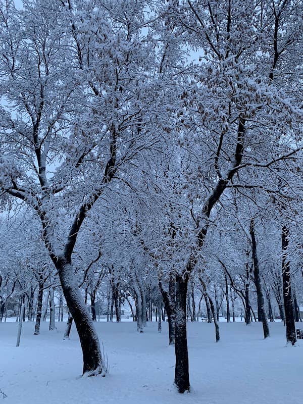 Wright's Crossing Park - Image 2