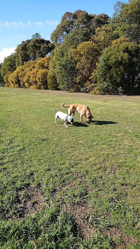 Perth Dog Exercise Area - Image 1