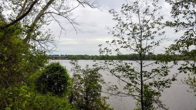 Rappahannock River Valley National Wildlife Refuge - Port Royal Unit - Image 3