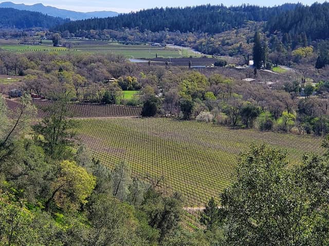 Sterling Vineyards - Image 2