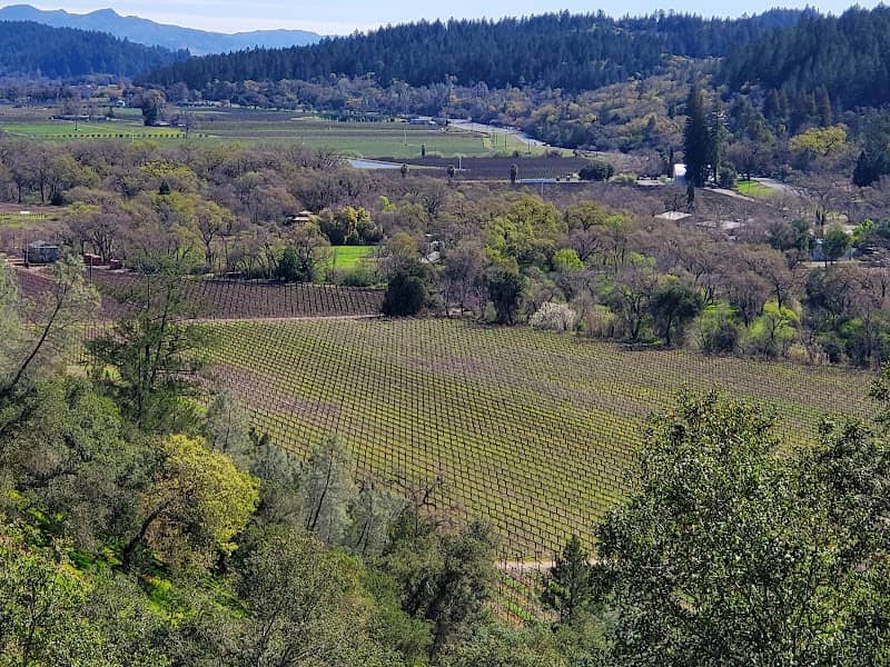 Sterling Vineyards - Image 1