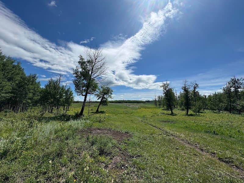 Hayburger Trailhead # 1 - Elk Island National Park - Image 1