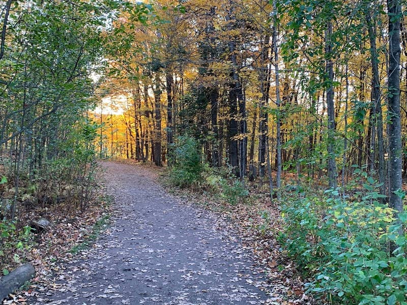 Gatineau Park - Image 3
