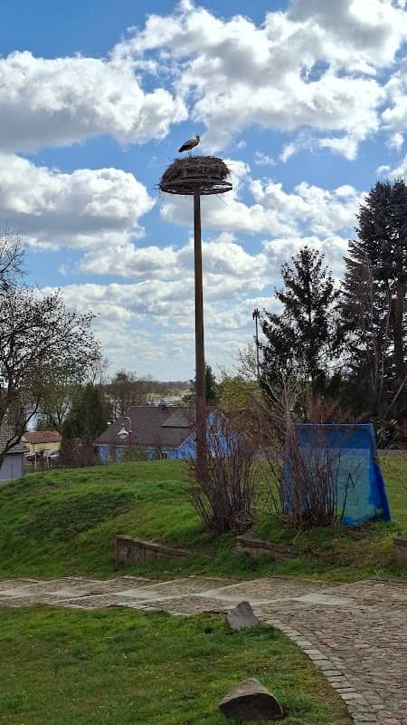 Storchennest Lebus (Weißstorch) - Image 1