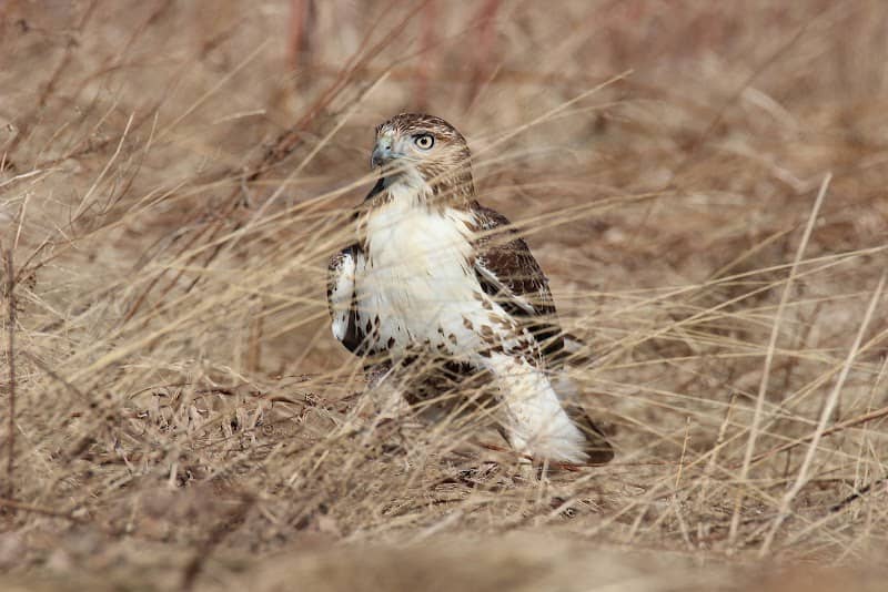Braddock Bay Wildlife Management Area--Burger Park - Image 3