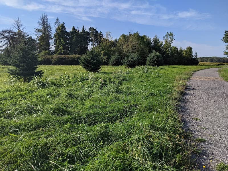 Braddock Bay Wildlife Management Area--Burger Park - Image 2