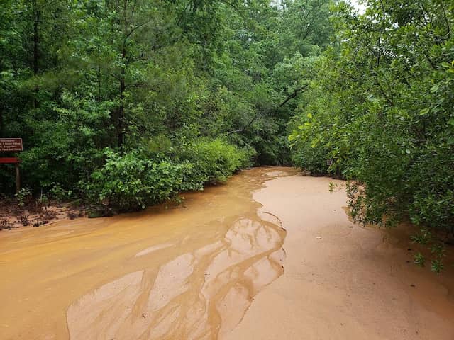 Providence Canyon Observation Area - Image 2