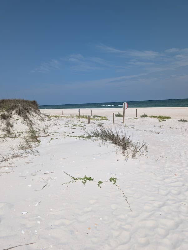 St George Island State Park - Image 1