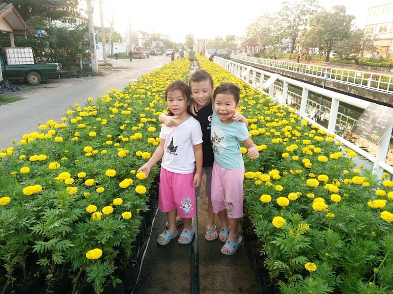 สวนสุขภาพ สมถวิล - Image 1