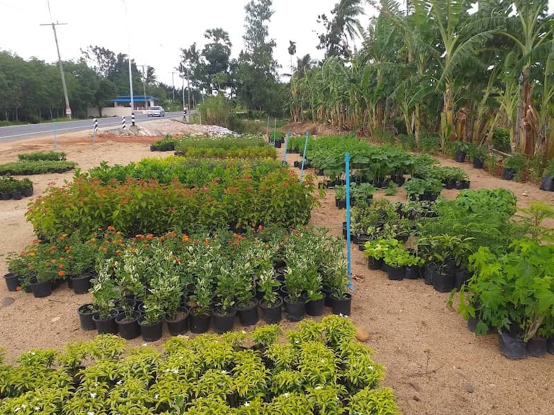 บ้านสวนเกษตรร้อยล้าน - Image 1