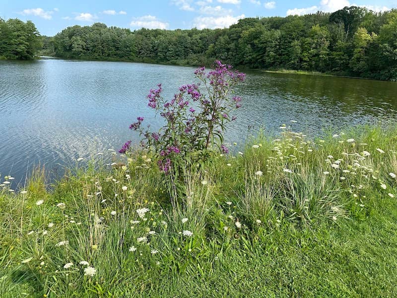 Beartown Lakes Reservation - Image 1