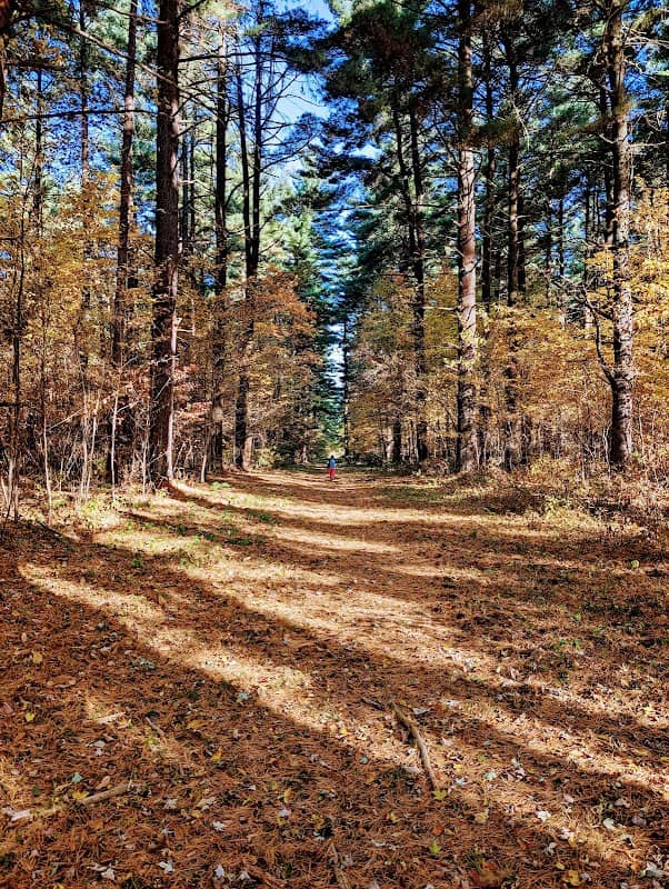 Maumee State Forest - Image 1