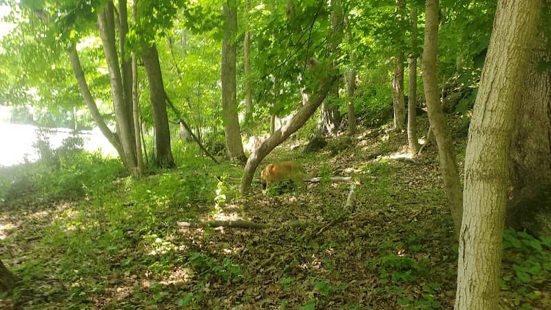 Limestone Ridge Preserve - Image 1
