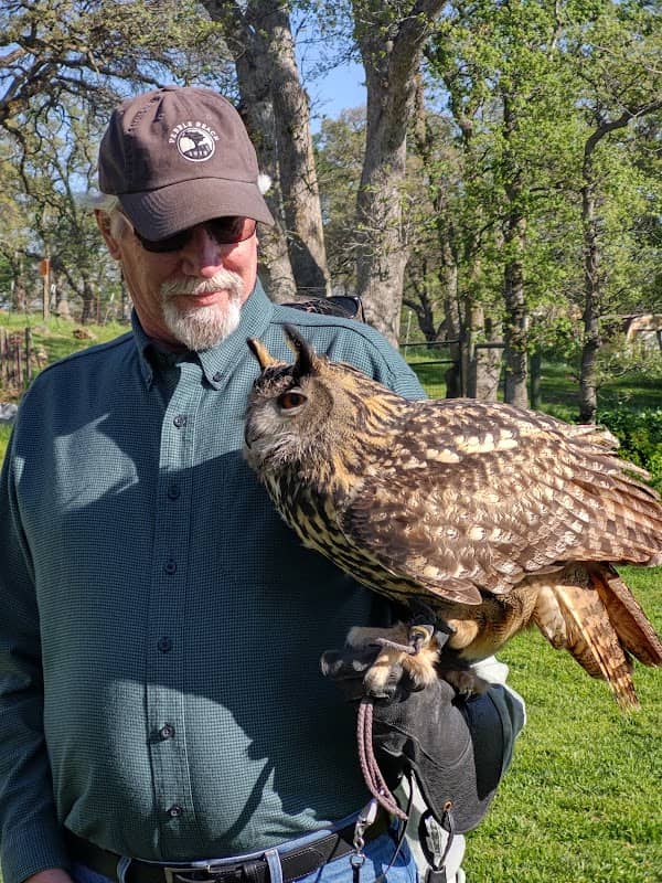 West Coast Falconry - Image 1