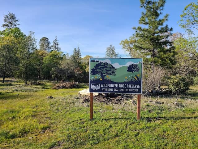 Wildflower Ridge preserve - Bear Yuba Land Trust - Image 2