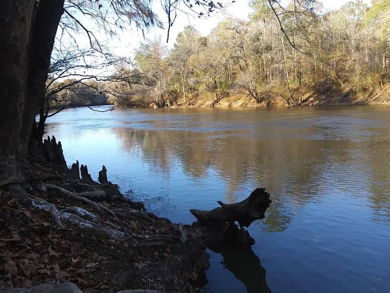 Hawkinsville Park - Image 2
