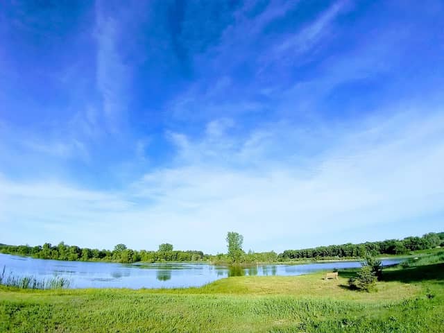Woodpile Wildlife Refuge - Image 2