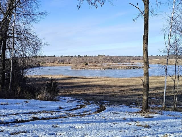 Woodpile Wildlife Refuge - Image 1