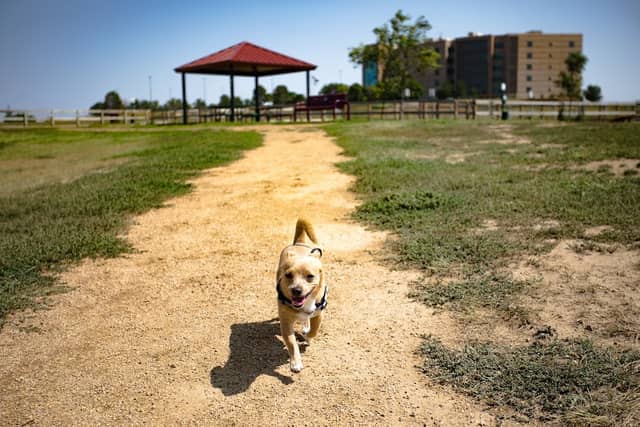 Happy Tails Dog Park - Image 1