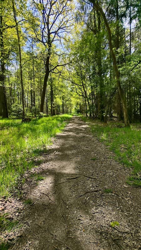 Dadford Woods - Image 1