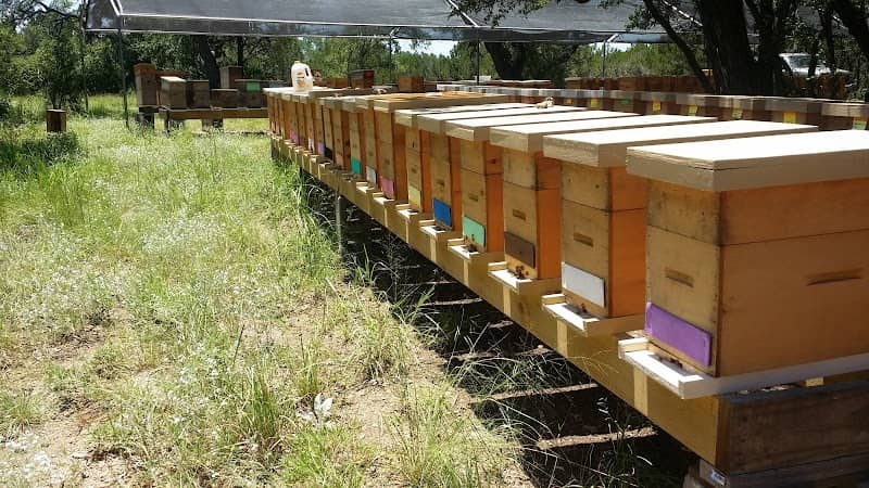 DreamWorks Bees - Image 1