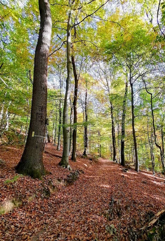 Kamm des Wesergebirges - Image 1