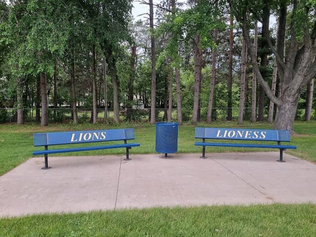Lion and Lioness Blue Benches - Image 1