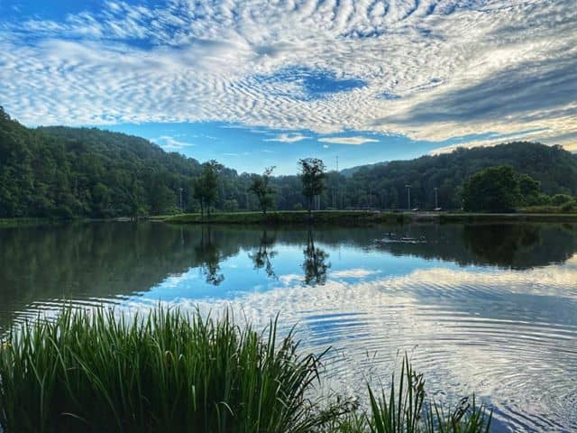 Fitzpatrick Park - Image 2
