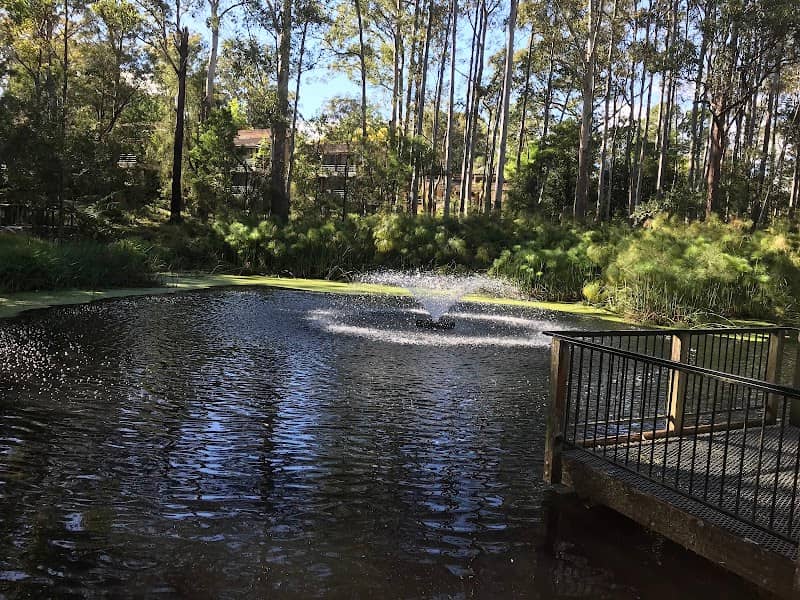 The Lakes of Cherrybrook - Image 1