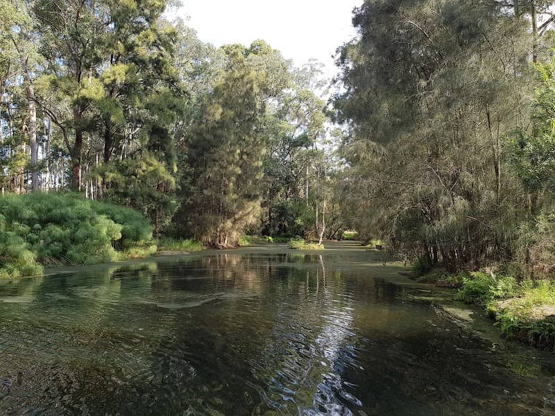 The Lakes of Cherrybrook - Image 2