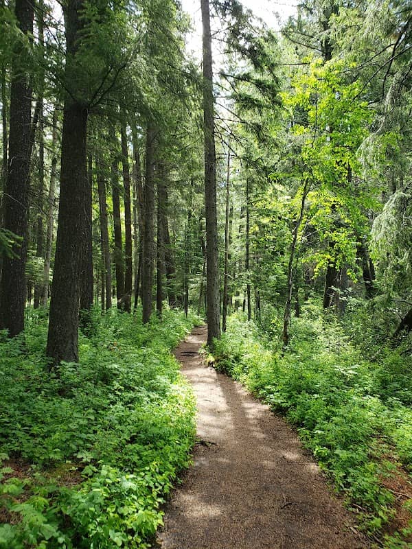 LC Gunn Park - Image 2