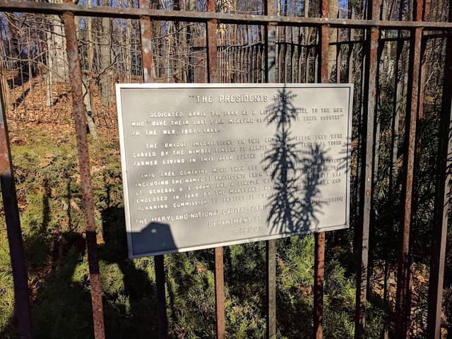 The President's Tree - Image 2