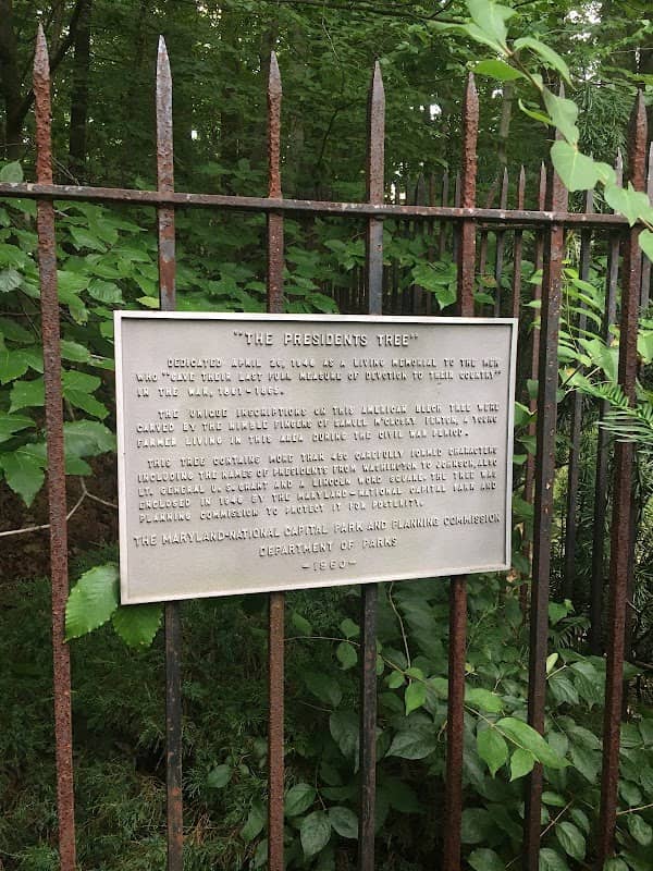 The President's Tree - Image 1