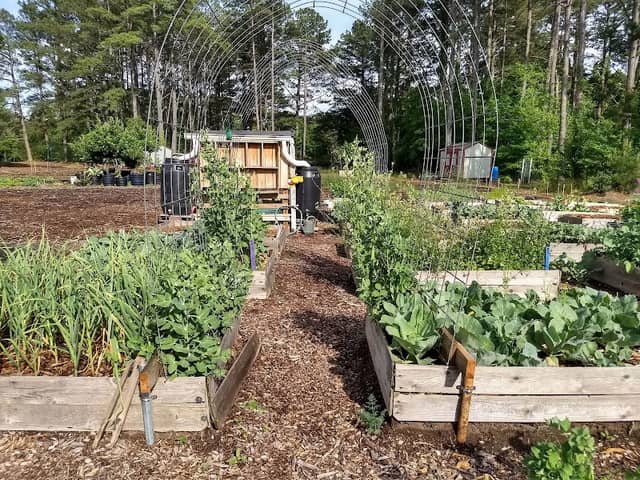 Garner Grows Community Garden - Image 1