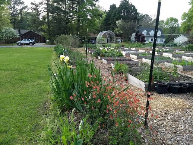 Garner Grows Community Garden - Image 3